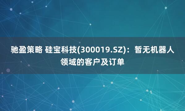驰盈策略 硅宝科技(300019.SZ)：暂无机器人领域的客户及订单