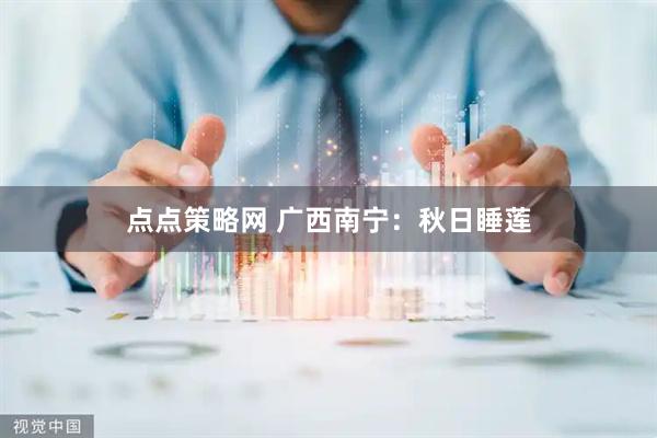 点点策略网 广西南宁：秋日睡莲