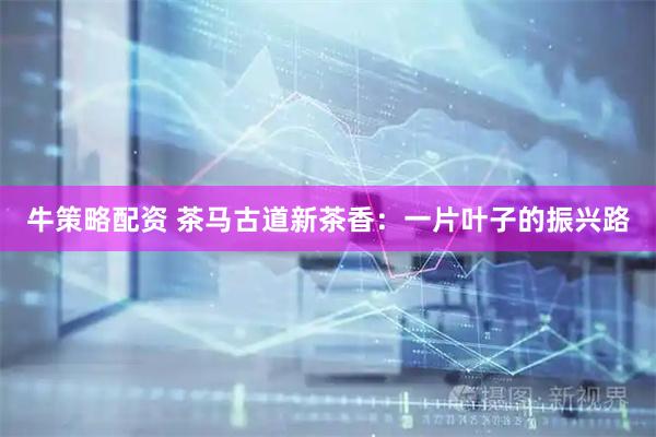牛策略配资 茶马古道新茶香：一片叶子的振兴路