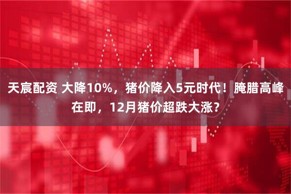 天宸配资 大降10%，猪价降入5元时代！腌腊高峰在即，12月猪价超跌大涨？